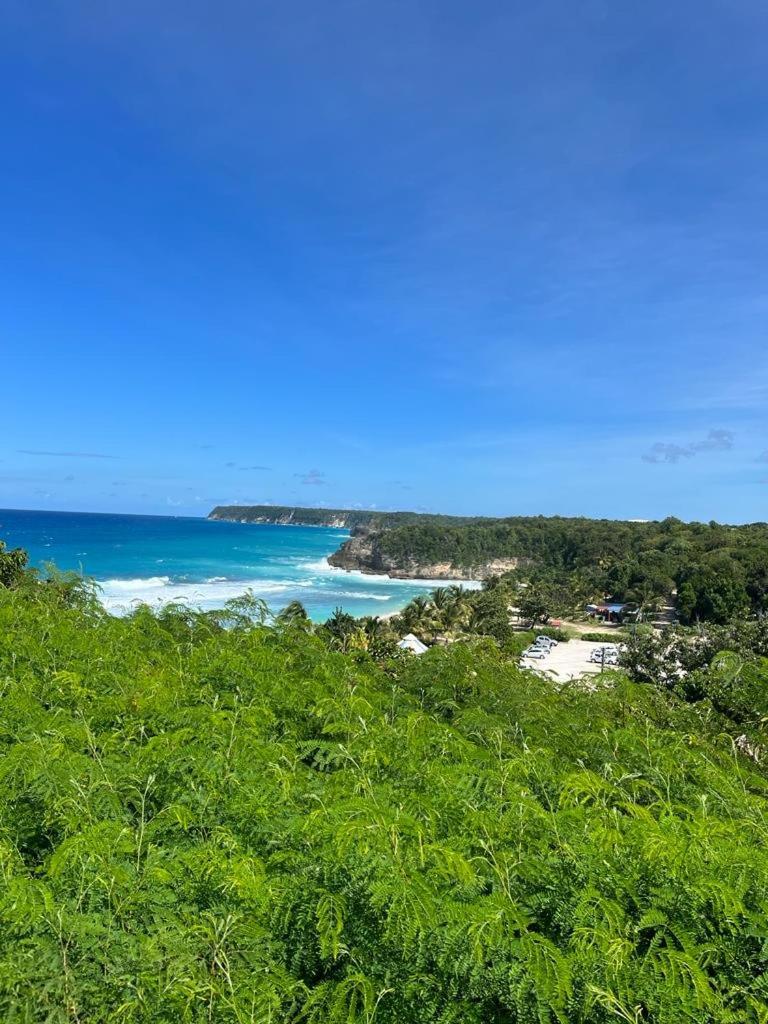  La Kaz A Coyoky Villa Anse-Bertrand ภายนอก รูปภาพ